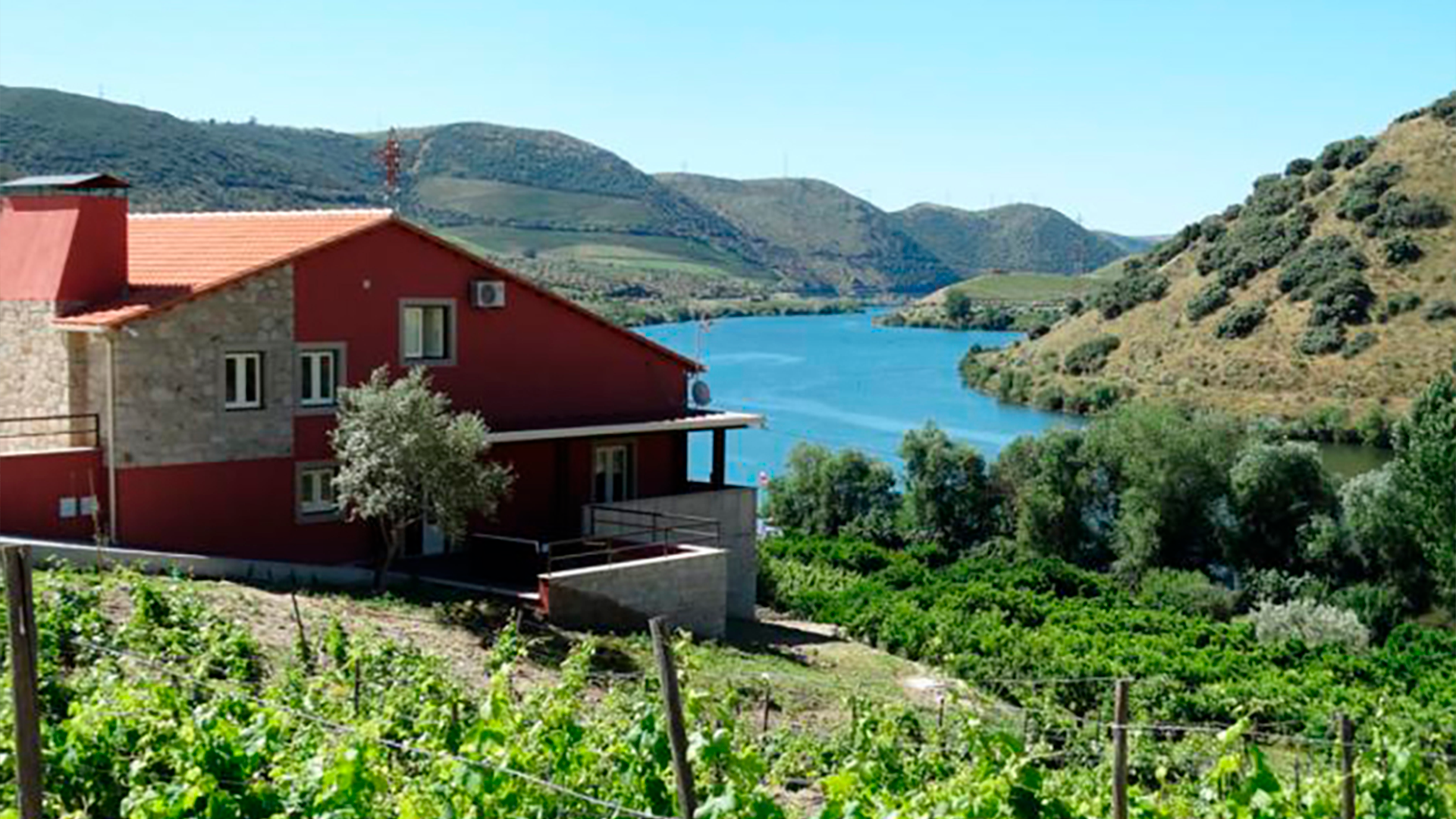 Olhares do Douro