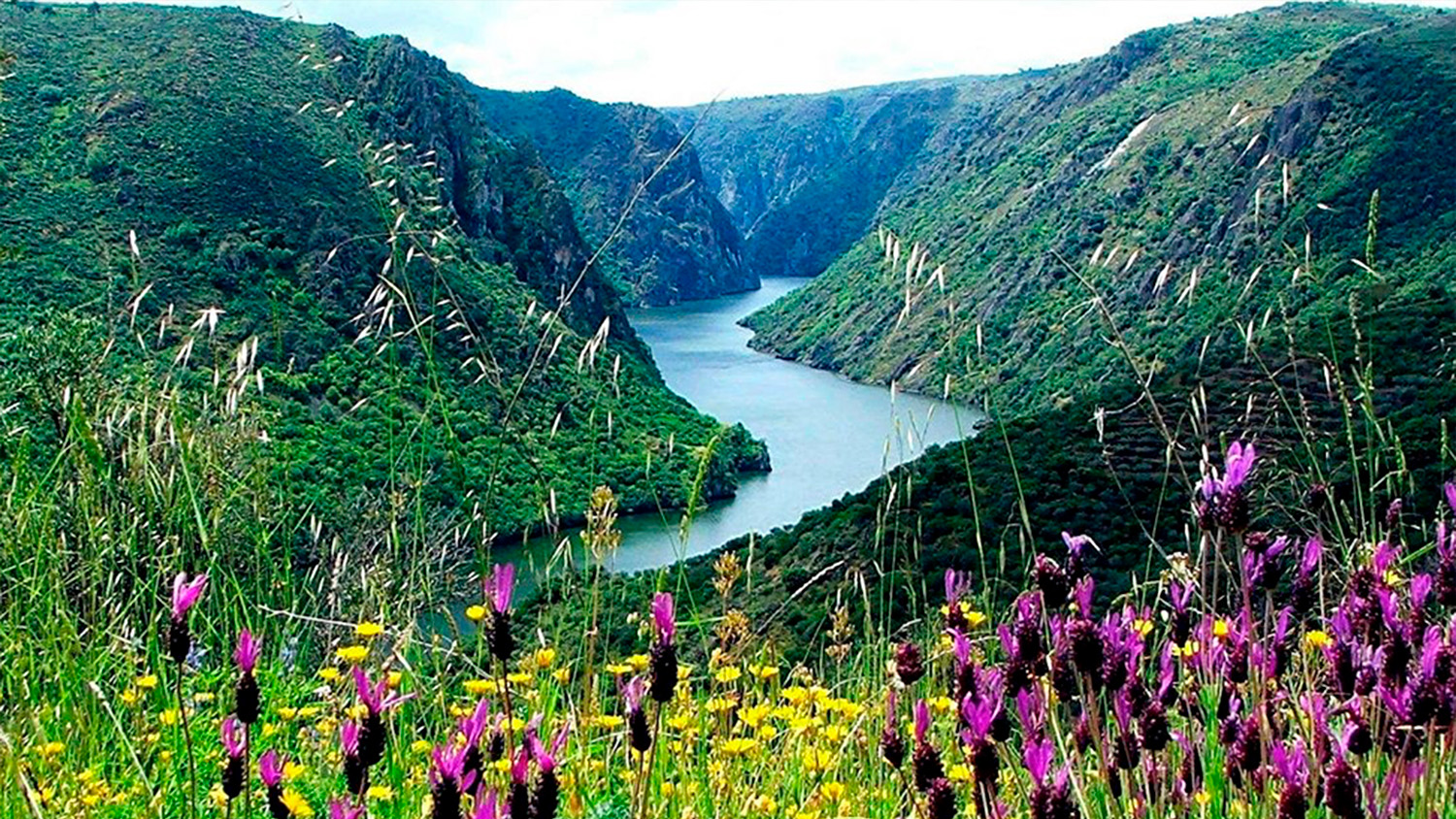 Parque Natural do Douro Internacional