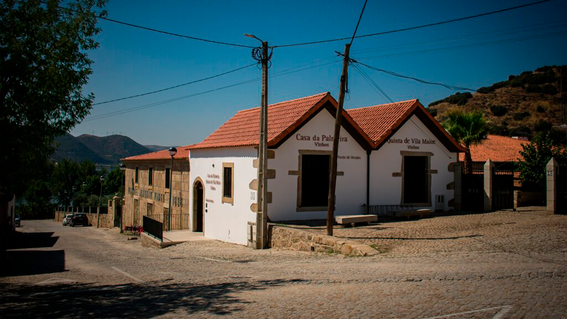Ponto de Vendas - Casa da Palmeira Quinta de Vila Maior