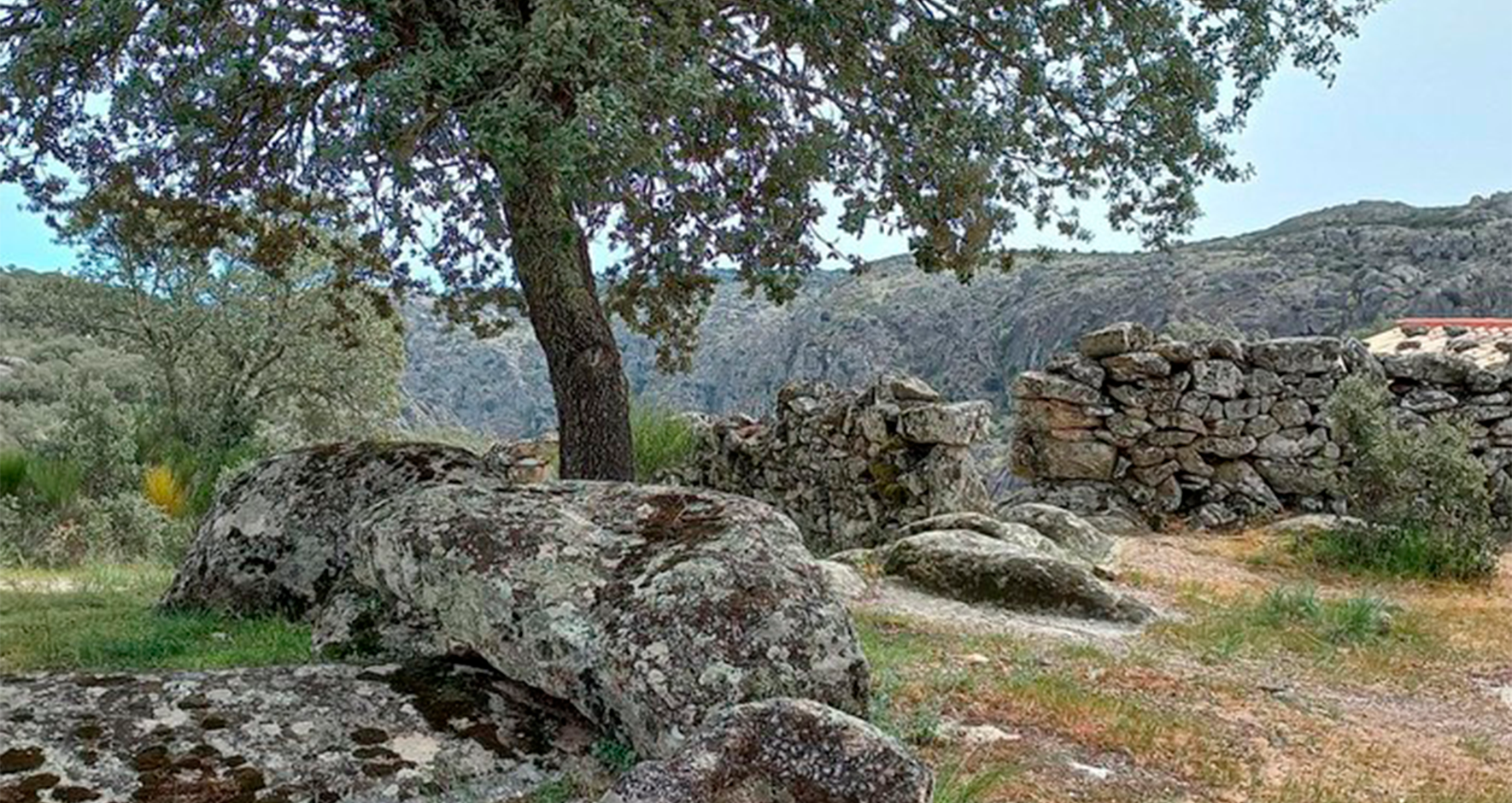 Castro de Vale de Águia