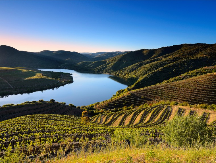 Vila Nova de Foz Côa